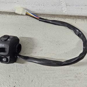 Steuerung Links zu City Max GT 2025