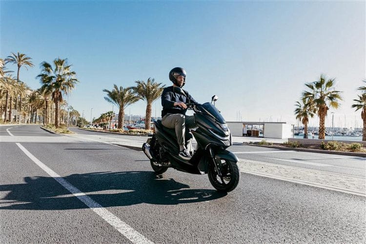 NEXT NX2 Original - 5 Jahre Garantie - 100 km/h 2 NEXT NX2 Original - 5 Jahre Garantie - 100 km/h – Bild 2