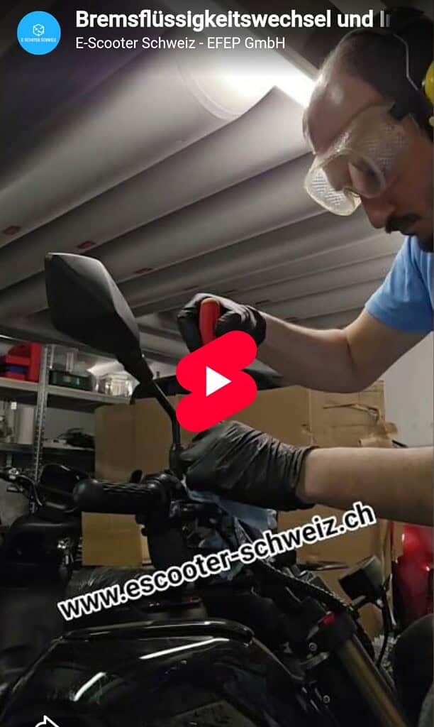 Wissen / Information